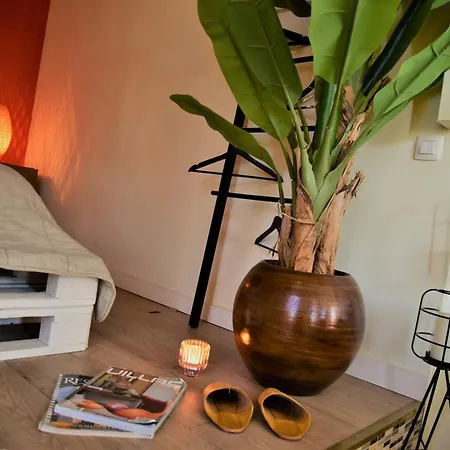 Apartment Sleep - Flats & *